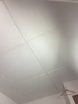 Snapshot of vanilla_Kush chatting on 11, 3, 2026 vanilla Kush online show from 11, 3, 2026