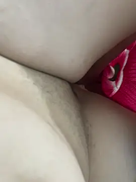 teubrinquedinho online show from 24, 2, 2026