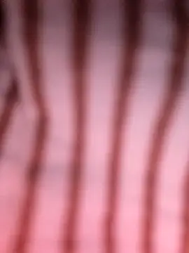 Heo xxinhxx online show from 14, 4, 2026