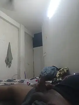 GTX-8194 online show from 2, 3, 2026