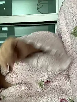 wjddjwjd online show from 6, 2, 2026