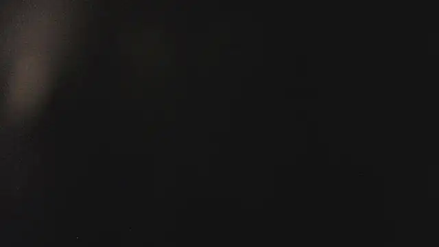 Fancy Vixen online show from 27, 2, 2026