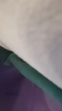 Snapshot of GassyClop chatting on 4, 4, 2026 GassyClop online show from 4, 4, 2026