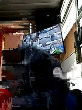 Cati cat3 online show from 21, 2, 2026