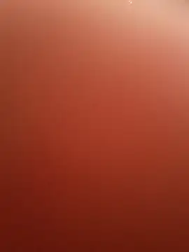 Cati cat3 online show from 25, 2, 2026