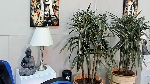 kai storn online show from 20, 5, 2026