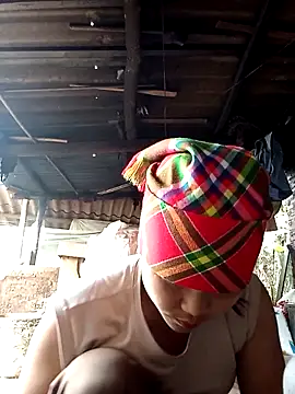 Beeio diaeo online show from 11, 3, 2026