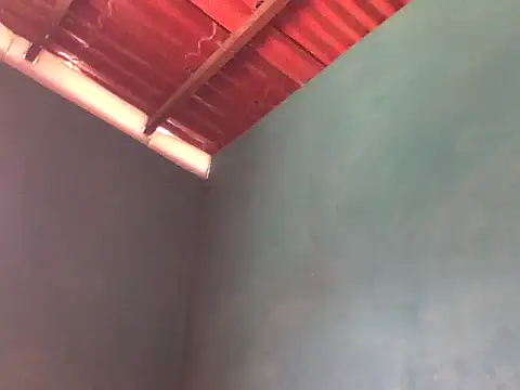 the black 23cm online show from 2, 4, 2026