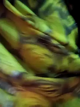 Muskan44s online show from 17, 2, 2026