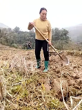 Tina-beo online show from 6, 2, 2026