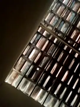 lorraine2036 online show from 22, 2, 2026