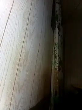 Prikev38452 online show from 12, 2, 2026