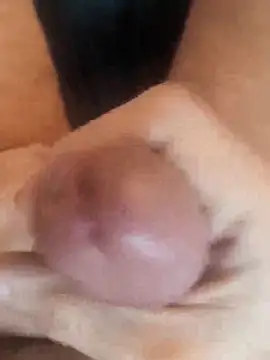 Der Tom 20 online show from 6, 2, 2026