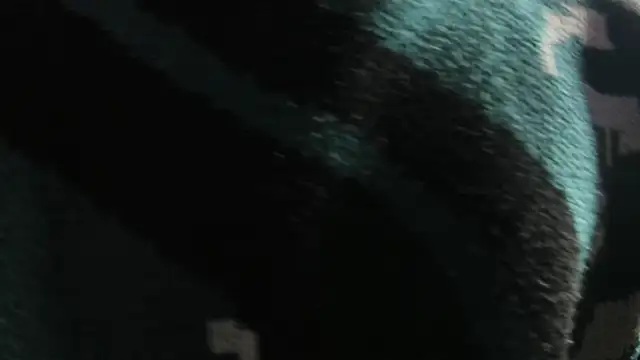 Snapshot of Christopher_Hunter chatting on 22, 3, 2026 Christopher Hunter online show from 22, 3, 2026