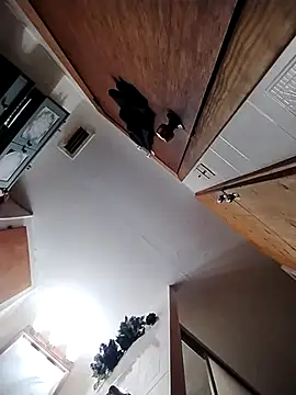 chad23162 online show from 13, 2, 2026