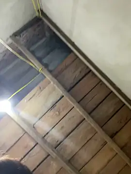 2b-xx online show from 4, 3, 2026