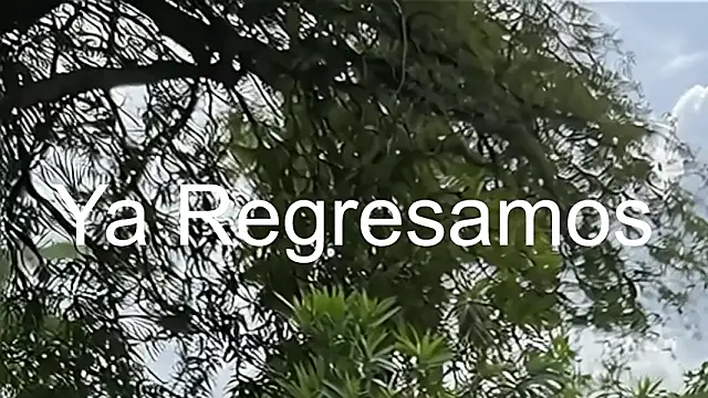 LauLph online show from 3, 2, 2026