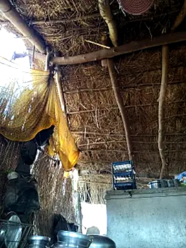 Hotty raghni online show from 9, 3, 2026