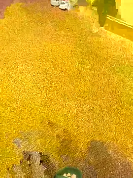 michaarMichaels online show from 5, 4, 2026