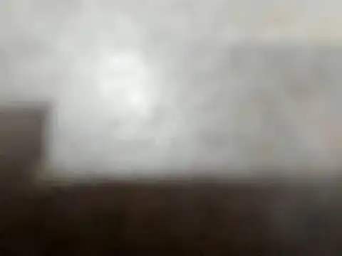 camila wood online show from 11, 6, 2026