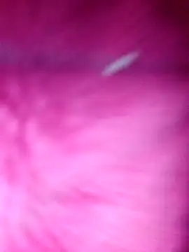 Snapshot of Hellentrans24 chatting on 25, 3, 2026 Hellentrans24 online show from 25, 3, 2026