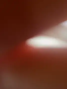 Snapshot of zo-19cm chatting on 27, 2, 2026 zo-19cm online show from 27, 2, 2026