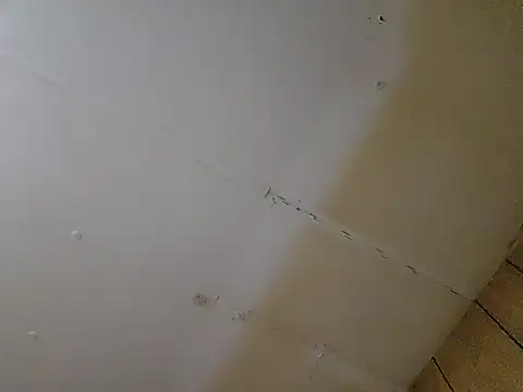 fishkeeper85 online show from 1, 2, 2026