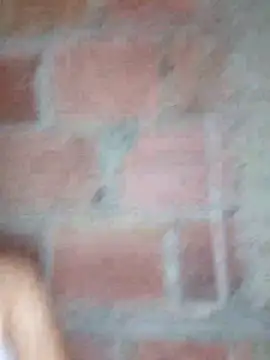 lachiki plus online show from 24, 3, 2026