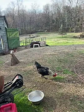 tommattsonn online show from 22, 3, 2026