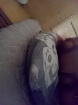 Snapshot of loveofpetitegirls34 chatting on 21, 2, 2026 loveofpetitegirls34 online show from 21, 2, 2026