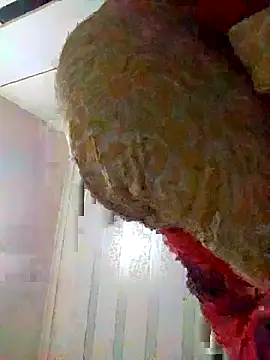 Snapshot of loveofpetitegirls34 chatting on 24, 3, 2026 loveofpetitegirls34 online show from 24, 3, 2026