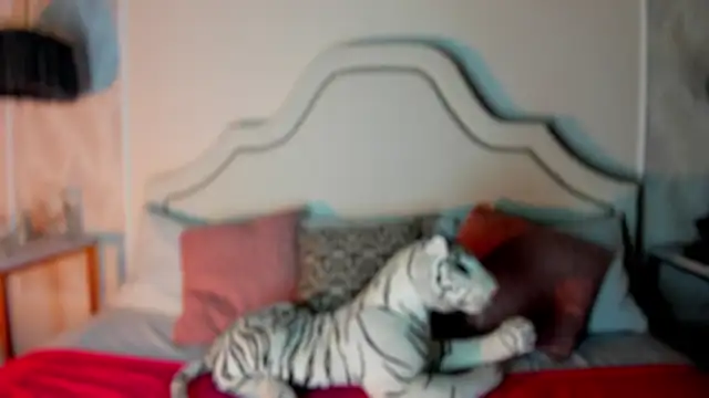 niicole garner online show from 11, 2, 2026