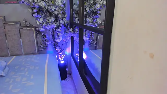 Nalapalmer online show from 7, 2, 2026