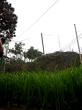 Snapshot of nhynhy11 chatting on 21, 3, 2026 nhynhy11 online show from 21, 3, 2026