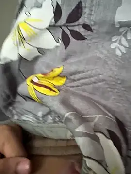 rambo848 online show from 25, 3, 2026