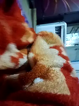 yusu 3 online show from 19, 3, 2026