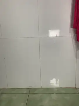 Nixie-Nixie online show from 3, 3, 2026