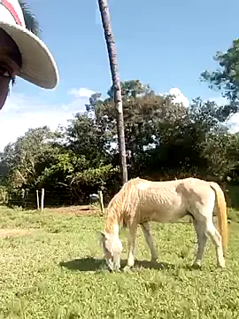 Snapshot of nego5628 chatting on 8, 3, 2026 nego5628 online show from 8, 3, 2026