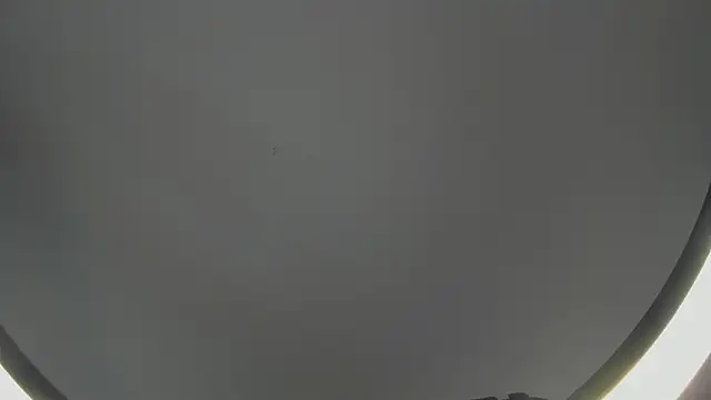 SinLickerr online show from 18, 2, 2026