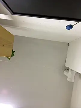 bbsitopiton online show from 11, 2, 2026