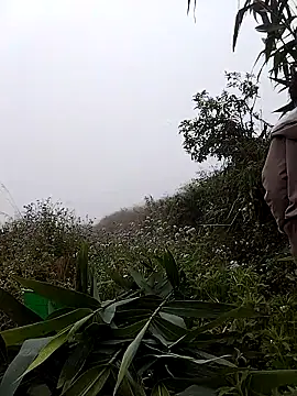 Snapshot of lovely-742 chatting on 7, 3, 2026 lovely-742 online show from 7, 3, 2026