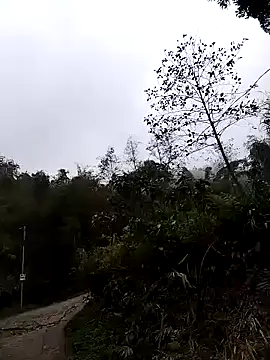 Snapshot of lovely-742 chatting on 24, 3, 2026 lovely-742 online show from 24, 3, 2026