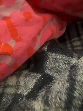 gbox123 online show from 11, 2, 2026