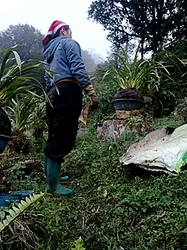 nelina 12345 online show from 13, 2, 2026