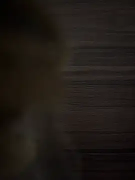 safadinhaputinha69 online show from 23, 4, 2026