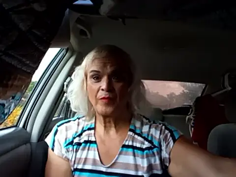 dustbunny64 online show from 17, 6, 2026