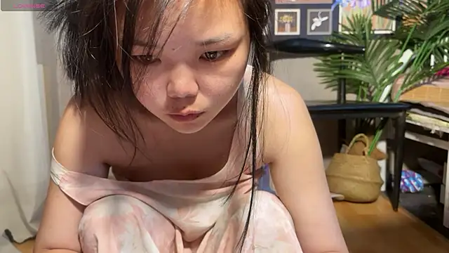 xiaosu22 online show from 20, 5, 2026