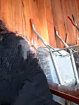 -Samm- online show from 17, 2, 2026