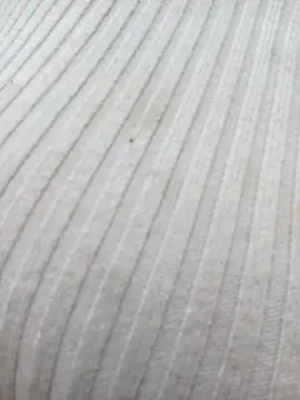 chaoanh11 online show from 15, 2, 2026