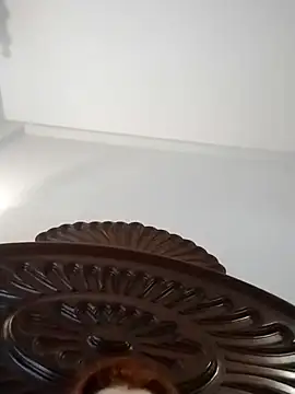 fegostosa12 online show from 11, 3, 2026